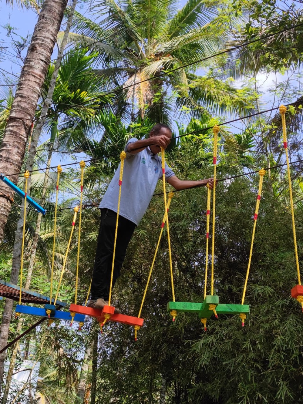 Outdoor rope bridge activity among trees