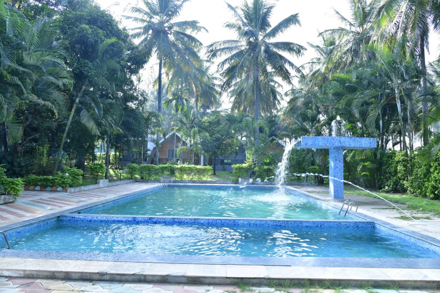 Swimming pool at Coorg Homestay surrounded by palms